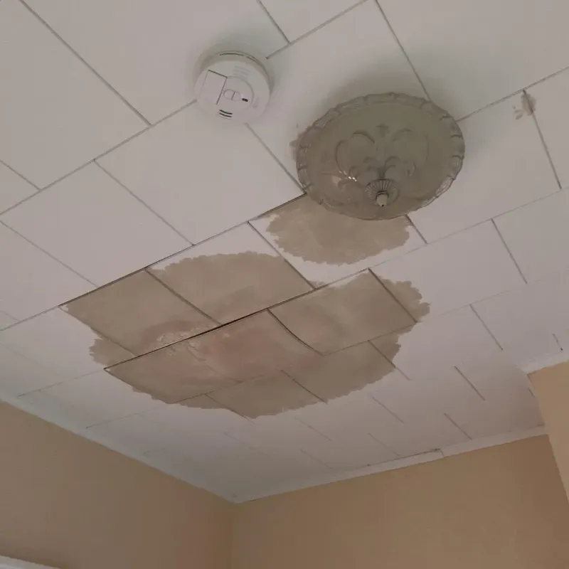Ceiling Water Damage Repair in Grandview Plaza, KS