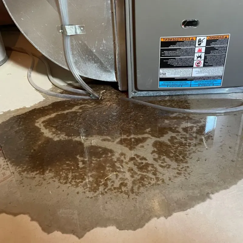 Pipe Burst and Leak Restoration in Grandview Plaza, KS