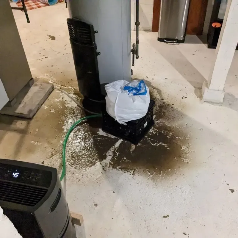 Sewage Backup Cleanup Service in Grandview Plaza, KS